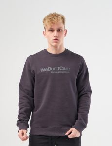 Толстовка We Don’t Care Basic Logo Sweatshirt Dark Grey